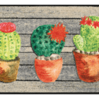 tapis-de-sol-personnalise-entre-floral-jardin-de-cactus